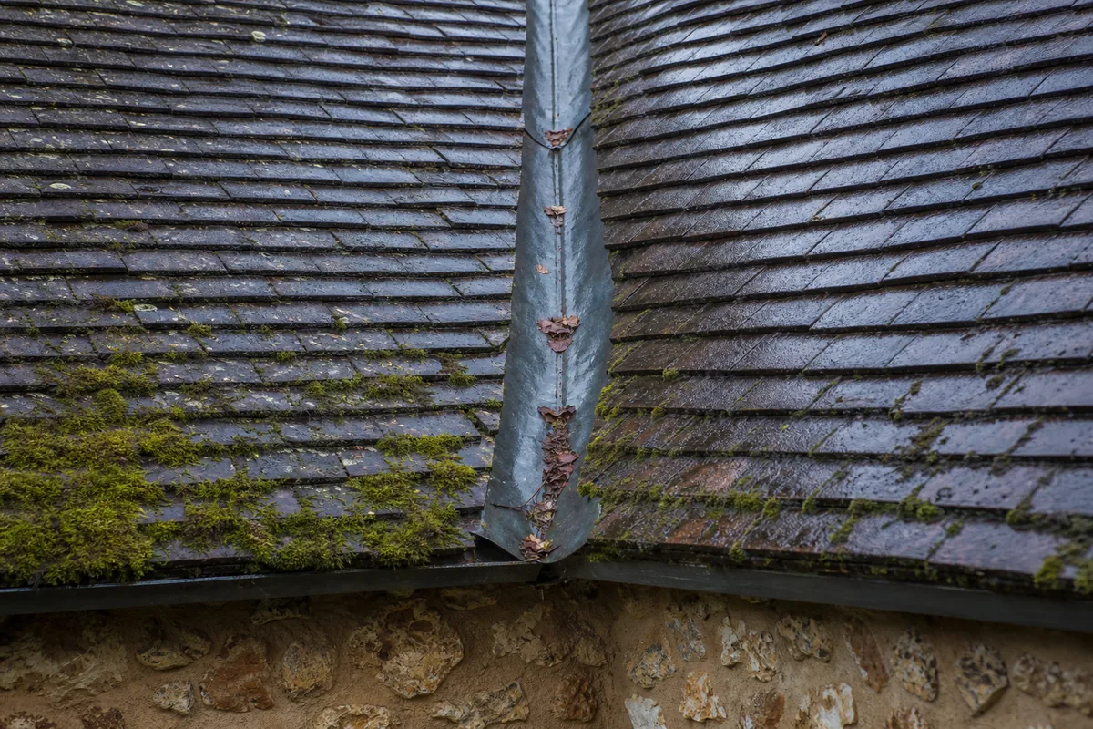Toiture en tuile plate humide d&rsquo;un pavillon de meulière sous un ciel d&rsquo;hiver à Chatou
