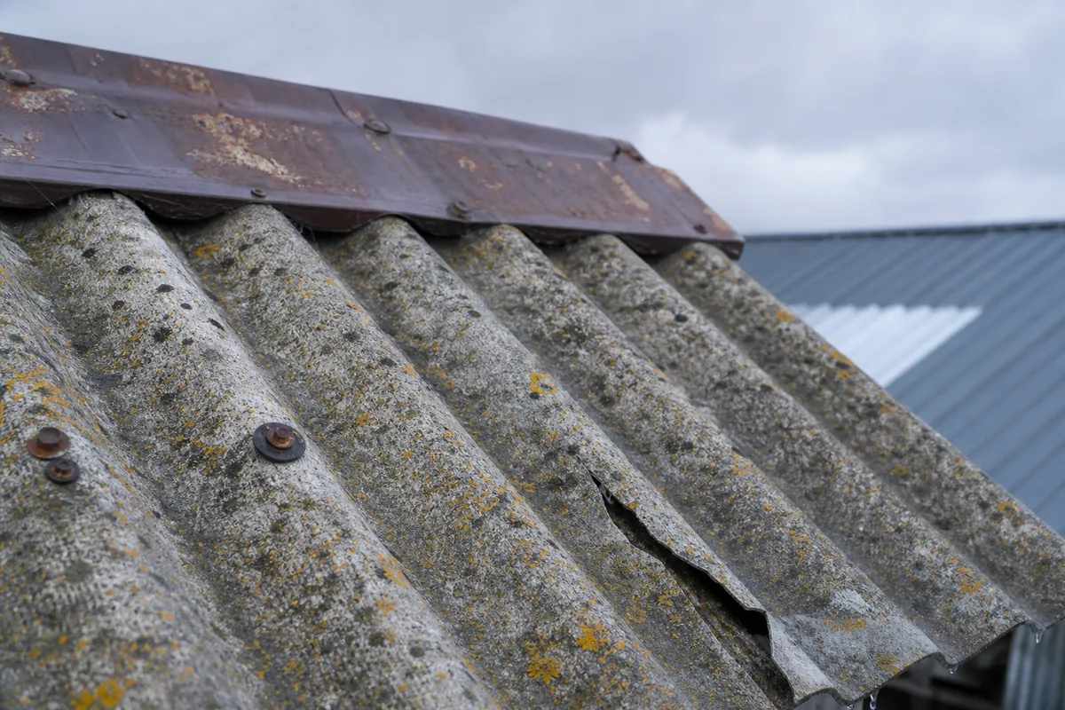 Plaques de fibrociment ondulé d&rsquo;un hangar agricole vues de près après la pluie