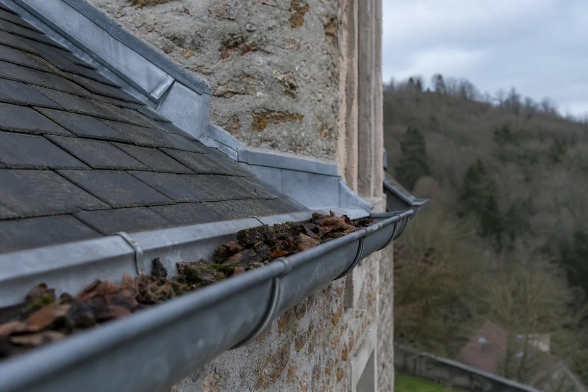 Zinguerie et gouttière demi-ronde en zinc encombrées de feuilles sur un toit de meulière
