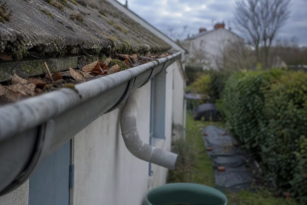 Gouttière demi-ronde en zinc curée le long d&rsquo;une maison mitoyenne et de son jardin étroit